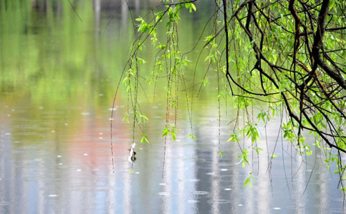 雨中的守护者 —— 西峰珍珠棉的应用实践